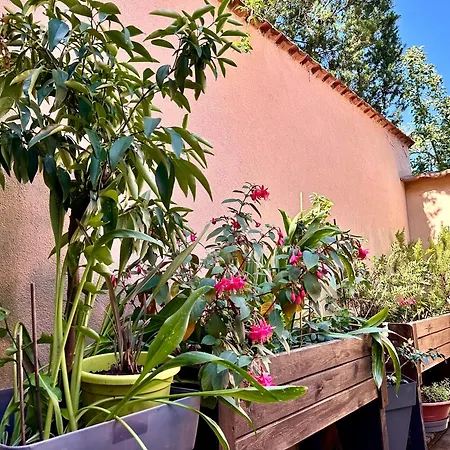 Guest house Avec Terrasse - Entre Strasbourg & Obernai Dorlisheim